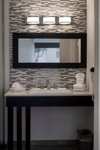 Bathroom 4, Park Pointe Hotel, San Mateo