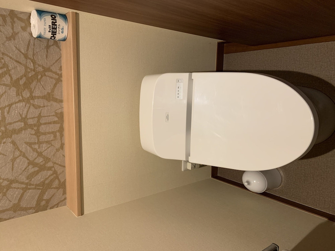 Bathroom, Hakone Kogen hotel, Hakone
