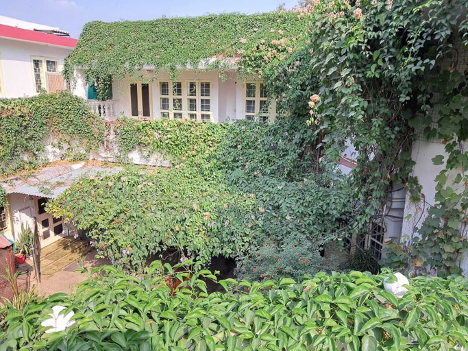 Exterior 5, Vijaya's Homestead, Jaipur