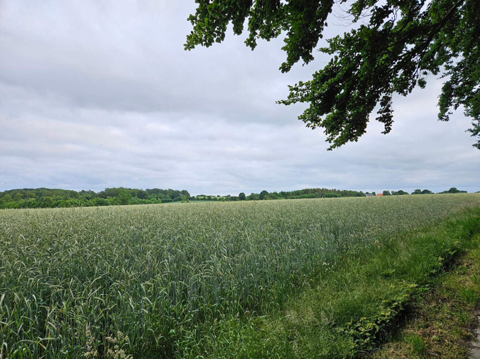 Others 3, 6 Person Holiday Home in Hejls, Kolding