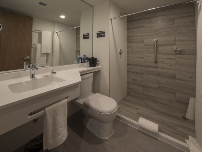 Bathroom 4, Microtel Inn & Suites by Wyndham Irapuato, Irapuato