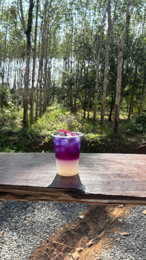 Food & Drinks 4, Khao Sok Hill Top Resort, Phanom