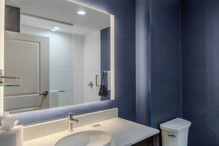 Bathroom, Residence Inn by Marriott Detroit Sterling Heights, Macomb