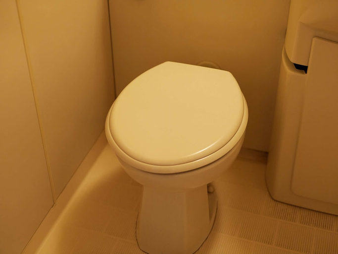 Bathroom 5, Tabist Hotel New Central, Fuji