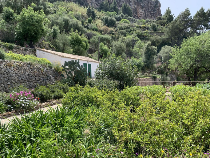 Room 3, C an Co Banyalbufar Mallorca, Baleares