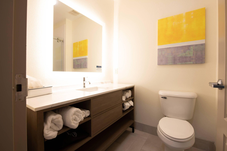 Bathroom 4, Comfort Suites Oil Center, Lafayette