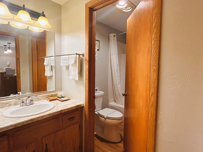Bathroom 4, Waterbury Inn, Door