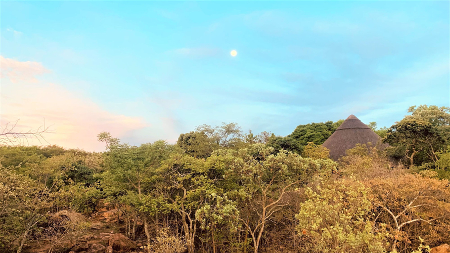 Others 5, Family Lodge in Natural African Bush - 2113, Bulawayo