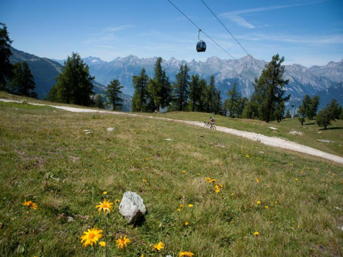 4, Apartment with balcony views of  Nendaz, Sion