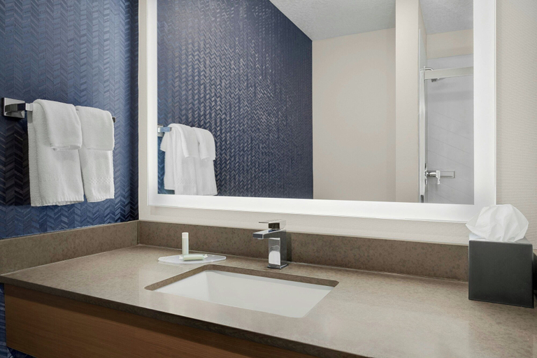 Bathroom 4, Fairfield Inn & Suites by Marriott Bloomington, McLean