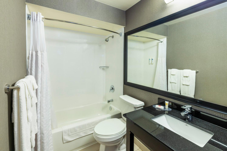 Bathroom 5, Comfort Inn Moncton Magnetic Hill, Westmorland