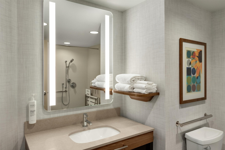 Bathroom 4, Hampton Inn Hagerstown, Washington