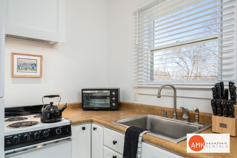 Private kitchen, Downtown Douglas Coach House, Allegan