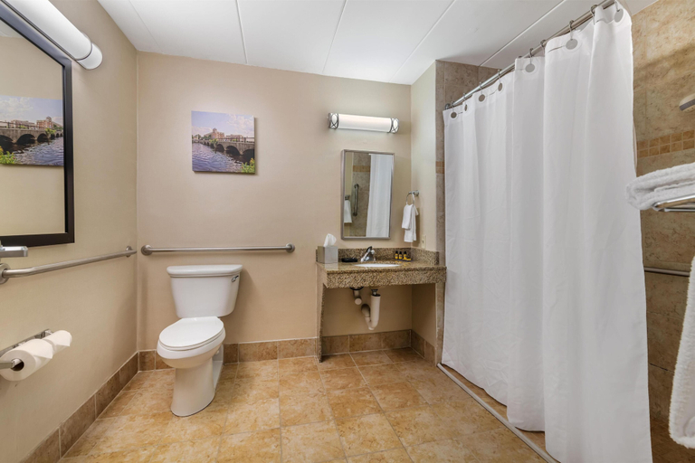 Bathroom 5, Best Western Plus Waltham Boston, Middlesex