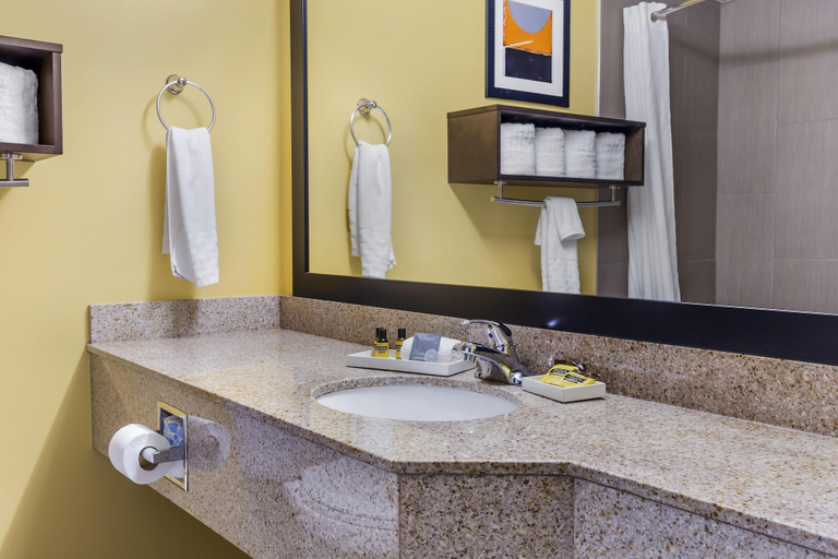 Bathroom 4, Best Western Plus Suites-Greenville, Pitt