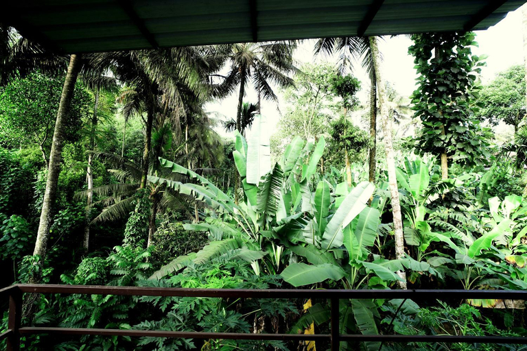 Others 5, Dean Dale Cottages, Idukki
