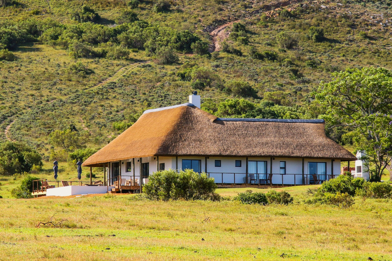 Exterior & Views 2, Barefoot Addo Elephant Lodge, Cacadu