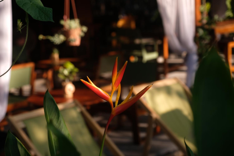 Food & Drinks 4, The Hideaway Koh Lipe, Muang Satun