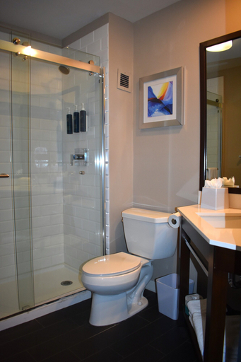 Bathroom 4, Four Points by Sheraton Chicago Westchester/Oak Brook, Cook