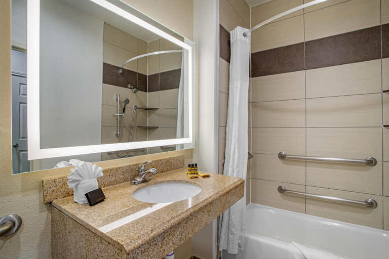 Bathroom 4, Best Western Plus North Houston Inn & Suites, Houston
