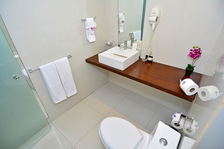 Bathroom 5, Auténtico Hotel, San José