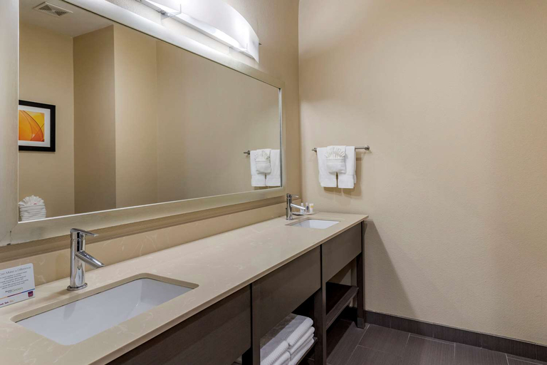 Others 2, Comfort Suites Near Sam Houston Race Park, Houston