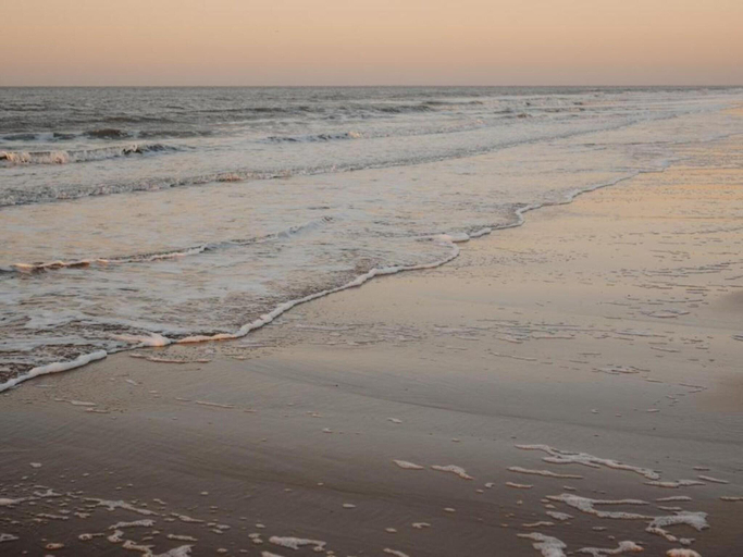 4, Spacious Seaside Apartment, West-Vlaanderen