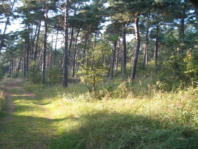 Others 4, 5 Star Holiday Home in Vaeggerlose, Guldborgsund