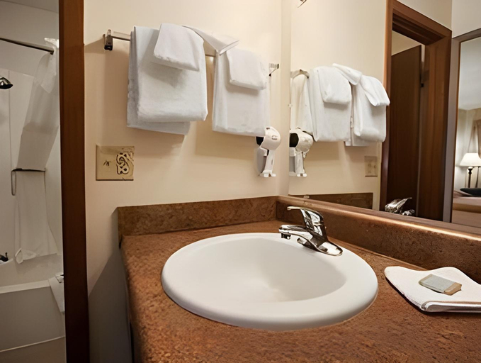 Bathroom 4, Magnuson Grand Rushmore View, Pennington