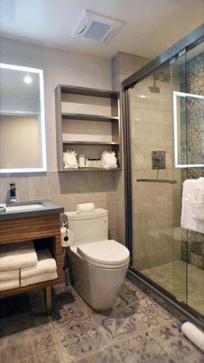 Bathroom 4, Insignia Hotel Brooklyn, an Ascend Collection Hotel, New York