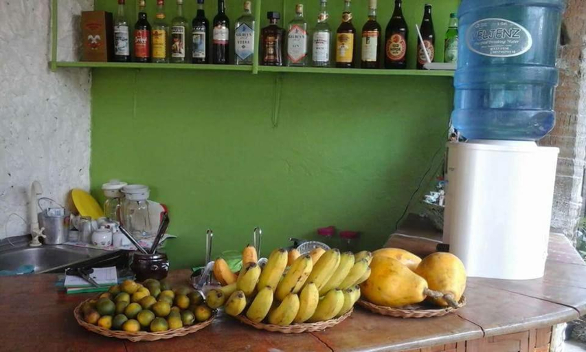 Food & Drinks 4, Guanna s Place, Daanbantayan