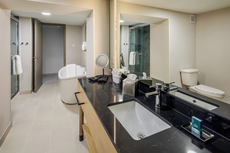 Bathroom 3, DoubleTree by Hilton Laredo, Webb