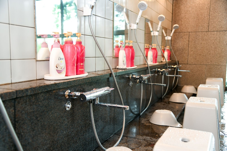 Bathroom, Yufuin Floral Village Hotel, Yufu