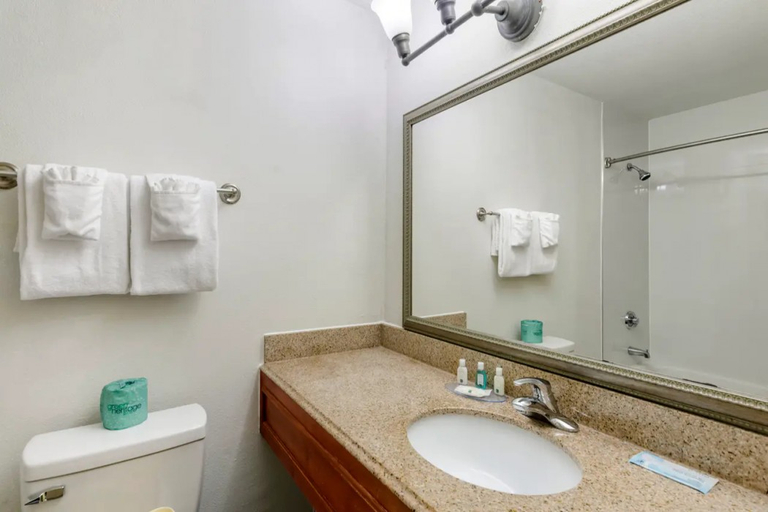 Bathroom 4, Quality Inn near Martinsville Speedway, Henry