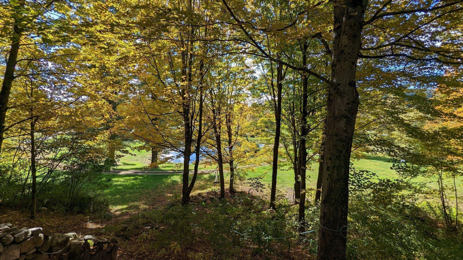 Room 2, Pond View Cabin in Chittenden, Rutland