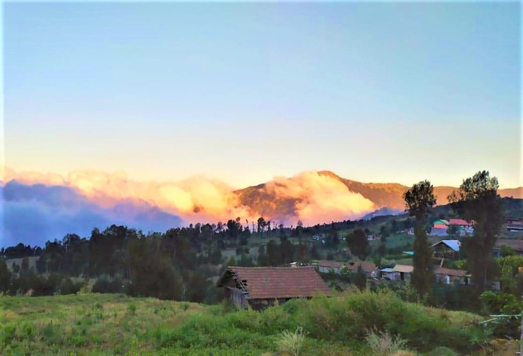 Others 2, Rahayu Jawarika Bromo Hotel, Probolinggo
