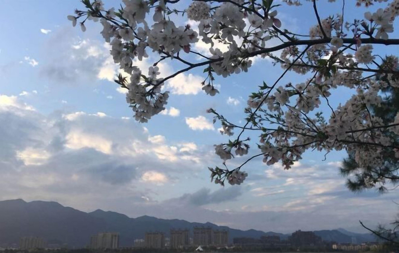Others 4, Golden Phoenix Business Hotel (Linhai Branch), Taizhou