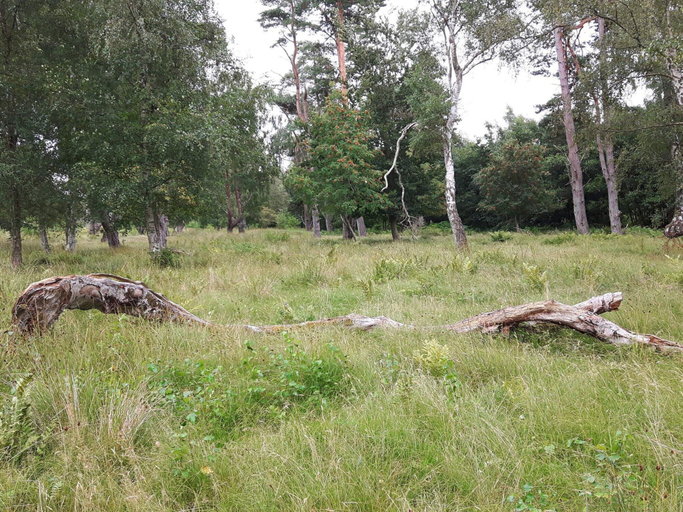 Others 5, 5 Star Holiday Home in Vaeggerlose, Guldborgsund