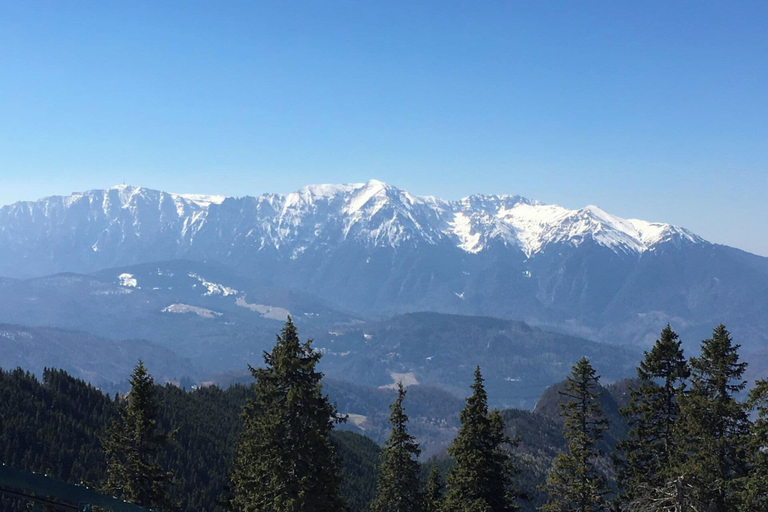 Miscellaneous 2, Stunning 4-bed Chalet in Bran With Superb Panorama, Bran