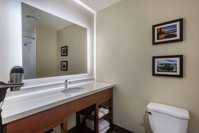 Bathroom 4, Comfort Suites Bowling Green Southeast, Warren