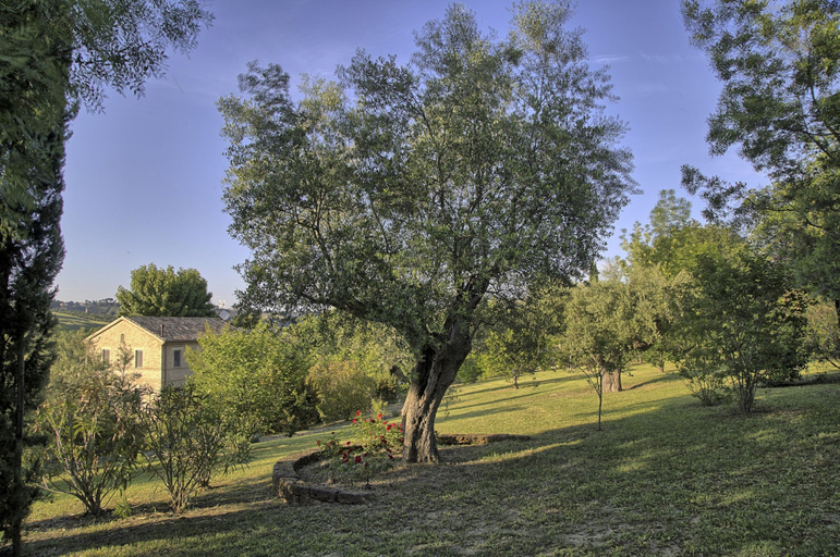 Room 3, Villa Glicini - Delightful Cottage With Pool, Ancona