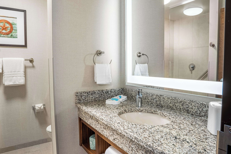 Bathroom 4, Drury Plaza Hotel Dallas Arlington, Arlington