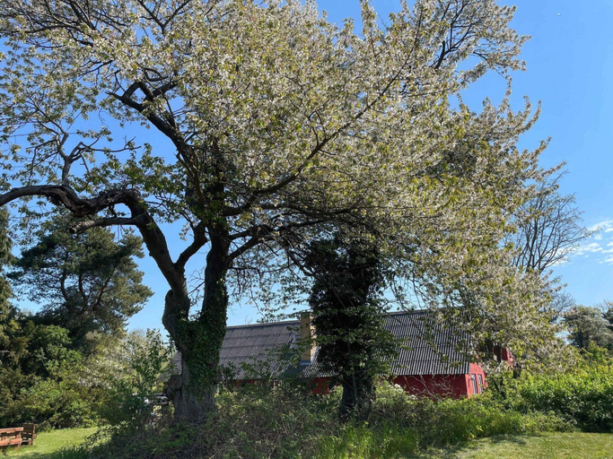 Exterior 3, 4 Star Holiday Home in Ronne, Bornholm
