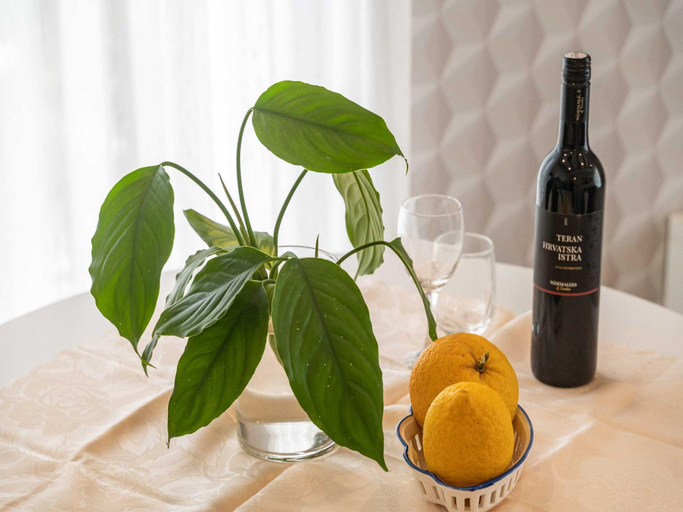 Food & Drinks, One bedroom apartment with balcony, Župa Dubrovačka