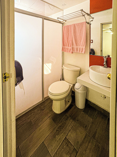 Bathroom 4, Hotel Montecarlo, San Luis Potosí