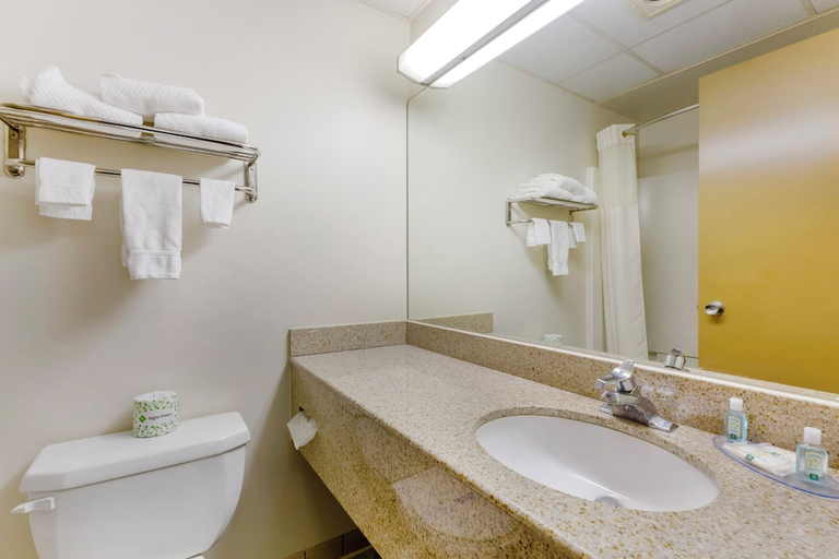 Bathroom, Quality Inn Huron, Erie
