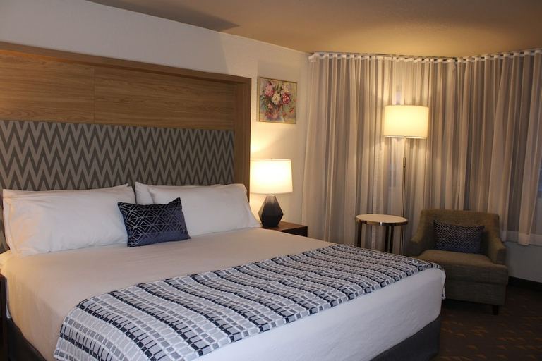 Others 4, Wyndham Flint MI/Grand Blanc/Bishop Airport/Conference Ct, Genesee