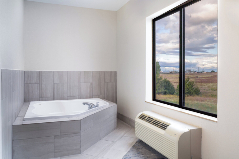 Bathroom 3, Holiday Inn Express Hotel & Suites Pratt by IHG, Pratt