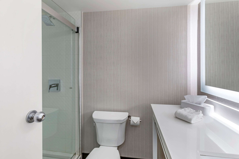 Bathroom 4, Comfort Inn Sarnia, Lambton