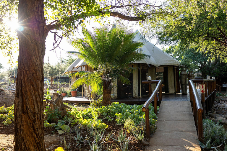 Exterior & Views 2, Karongwe - Chisomo Safari Camp, Mopani